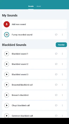 Download Blackbird Sounds Terbaru – Melodi Alam Gratis description image 11