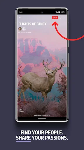 Download Flipboard Terbaru – Baca Berita & Artikel Terkini Gratis description image 5