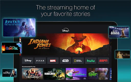 Download Disney+ APK Terbaru – Streaming Film & Serial Terbaik description image 5