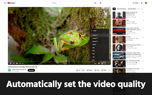 GoodTube: Adblock YouTube Terbaik & Hapus Shorts Tanpa Deteksi description image 4