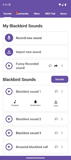 Download Blackbird Sounds Terbaru – Melodi Alam Gratis description image 1