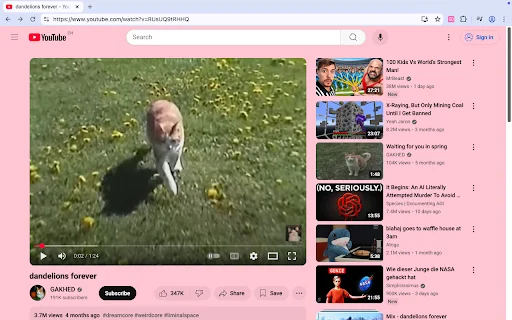 Download Pastel Pink YouTube Terbaru – Ubah Tampilan YouTube Gratis description image 1