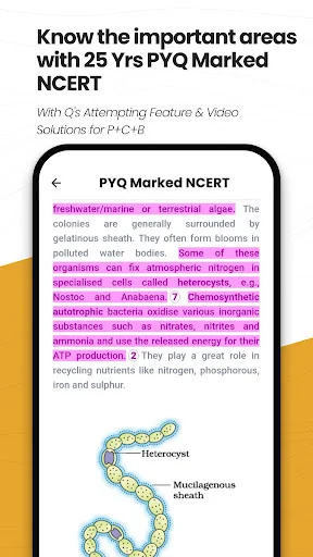Download NEETprep Essential Terbaru – Latihan Soal NCERT NEET description image 8